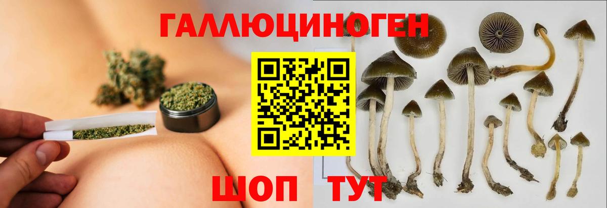 Галлюциногенные грибы Magic Shrooms  Вход с VPN  закладки  Чебаркуль 